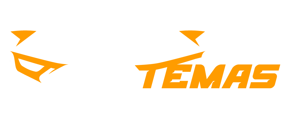 Logotipo blanco Temas de Coches